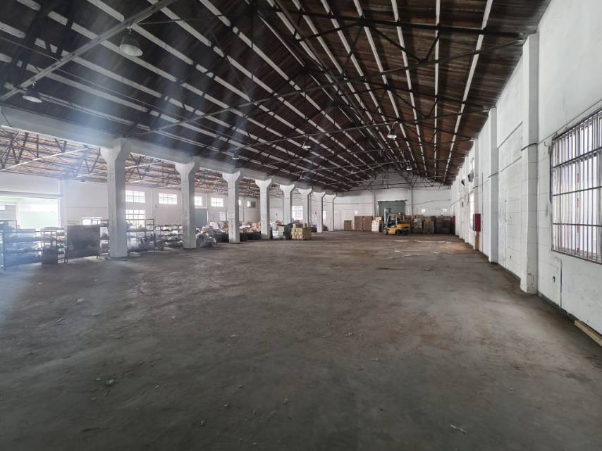 奉贤区四团镇独门独院1500平方，可做任何机加工/木制品等