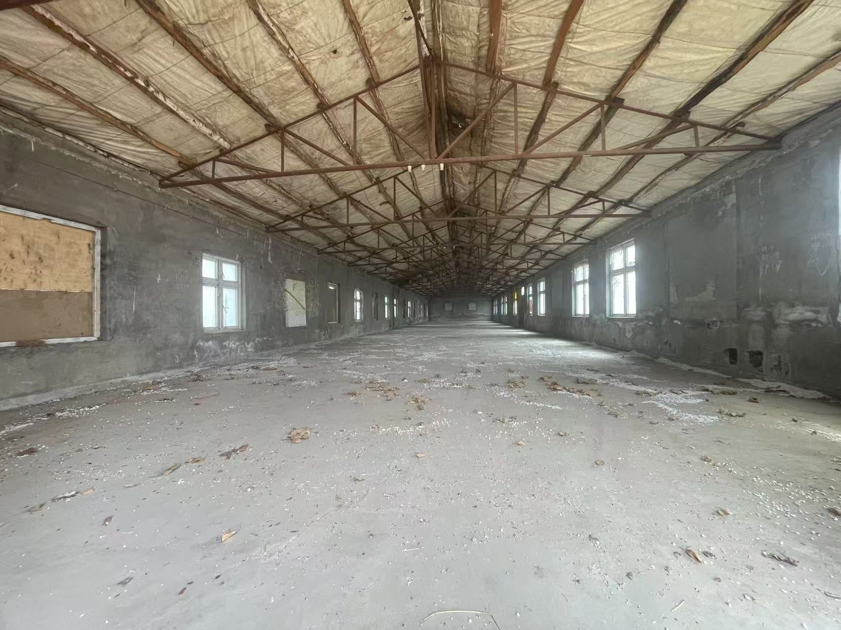 木林3亩地丨300平米库房丨3间住宿办公丨可以养狗