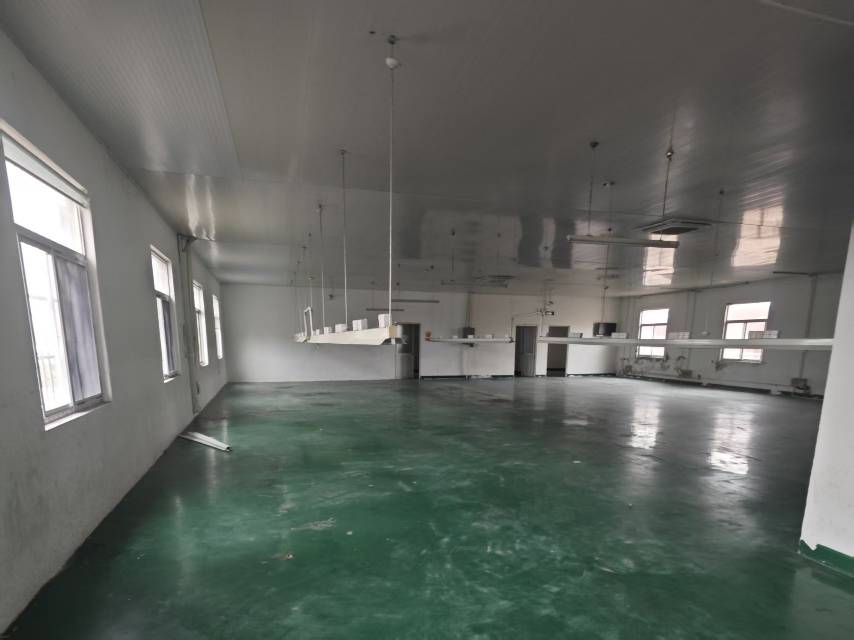 奉贤区平安镇独门独院1150平方适应各类仓储物流  小型加工