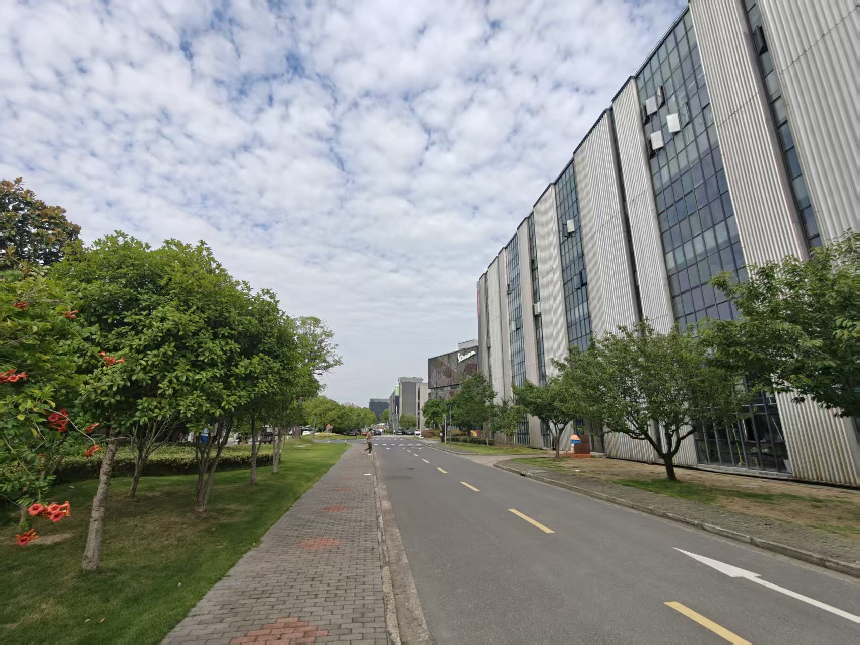 洞泾总3层独栋4500平厂房104地块 